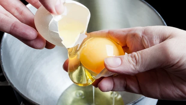 İthal yumurtalardan kaynaklandığı tespit edilen büyük Salmonella salgınında 1 kişi