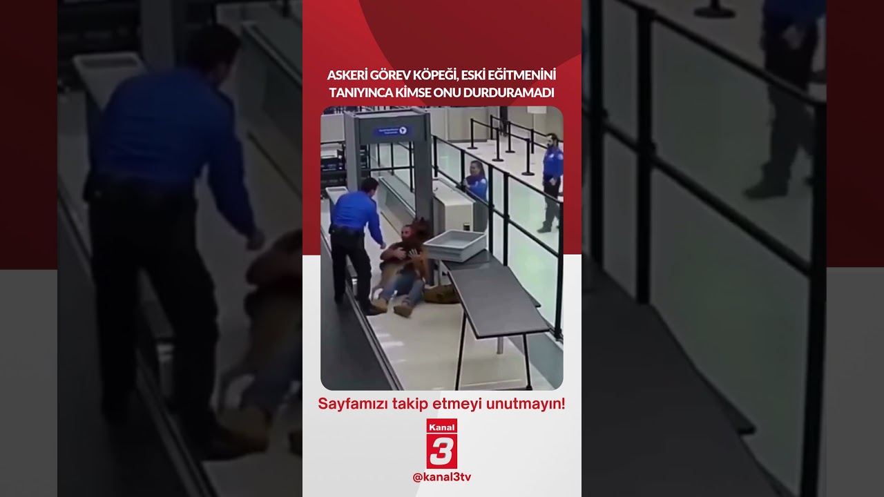 Askeri görev köpeği, eski eğitmenini tanıyınca kimse onu durduramadı! 📶https://kanal3.com.tr/