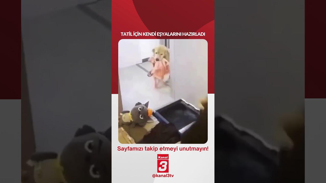 Tatil için kendi eşyalarını hazırladı… 📶https://kanal3.com.tr/ Sosyal Medya Hesaplarımızı Takip