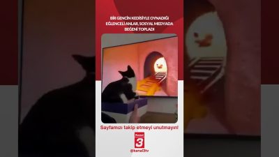 Kanal 3Cts, Ağustos 8, 2026 10:00amURL:Embed:Bir gencin kedisiyle oynadığı eğlenceli