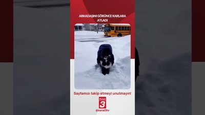 ARKADAŞINI GÖRÜNCE KARLARA ATLADI 📶https://kanal3.com.tr/ Sosyal Medya Hesaplarımızı Takip Ederek