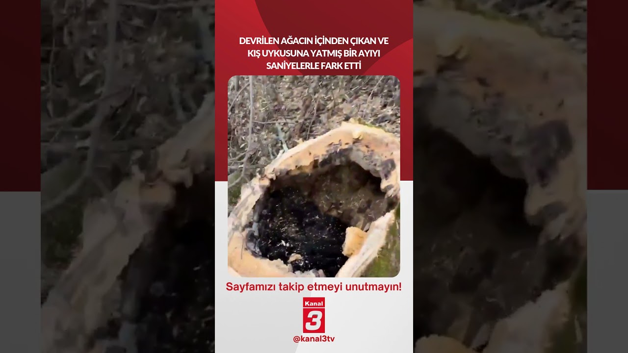 📶https://kanal3.com.tr/ Sosyal Medya Hesaplarımızı Takip Ederek Son Dakika Haberleri Alabilirsiniz;