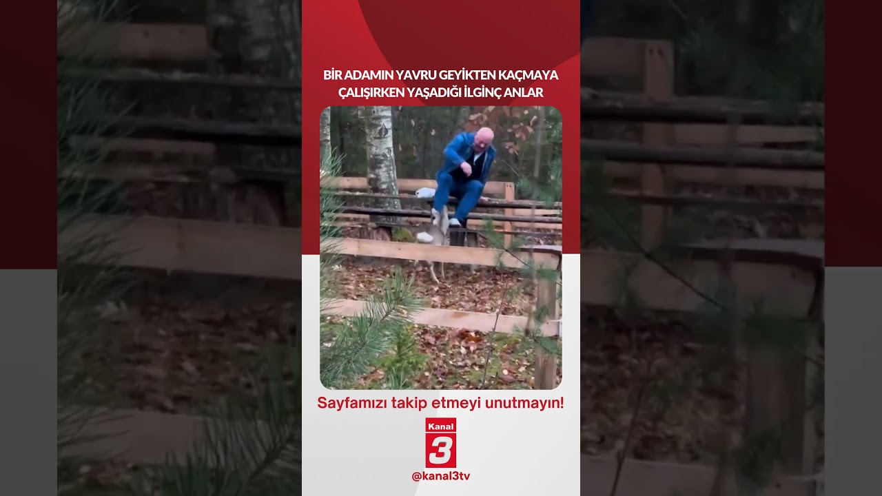 Bir adamın yavru geyikten kaçmaya çalışırken yaşadığı ilginç anlar… 📶https://kanal3.com.tr/