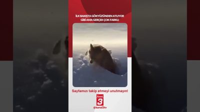 Kanal 3Paz, Ağustos 23, 2026 10:00amURL:Embed:İlk bakışta gökyüzünden atlıyor gibi