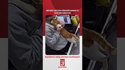 Kanal 3Cts, Ağustos 8, 2026 2:00pmURL:Embed:Bir kedi, her gün uğradığı