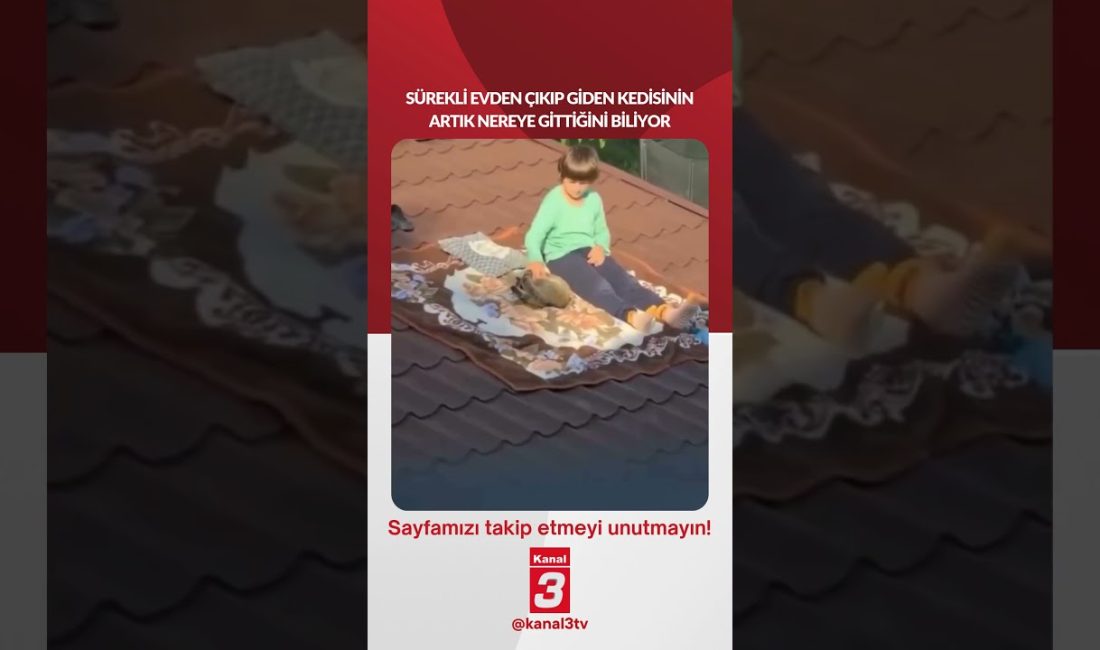 Sürekli evden çıkıp giden kedisinin artık nereye gittiğini biliyor… 📶https://kanal3.com.tr/