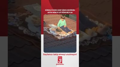 Sürekli evden çıkıp giden kedisinin artık nereye gittiğini biliyor… 📶https://kanal3.com.tr/