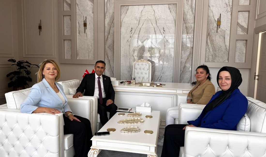AK Parti Afyonkarahisar Milletvekili Dr. Hasan Arslan, Kanal 3 Televizyonu