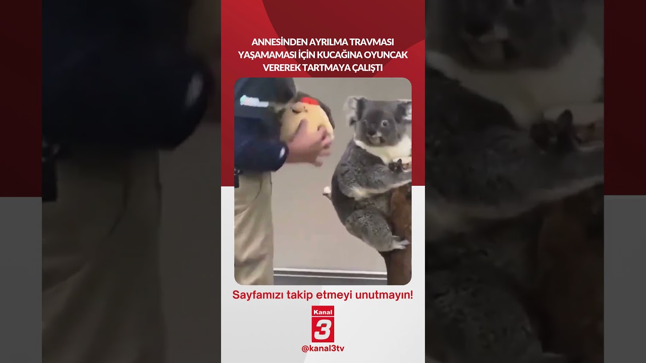 Annesinden ayrılma travması yaşamaması için kucağına oyuncak vererek tartmaya çalıştı…