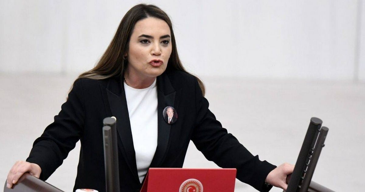 TBMM Adalet Komisyonu'nda görüşmeleri süren "Milli Dayanışma ve Toplumsal Bütünleşmenin