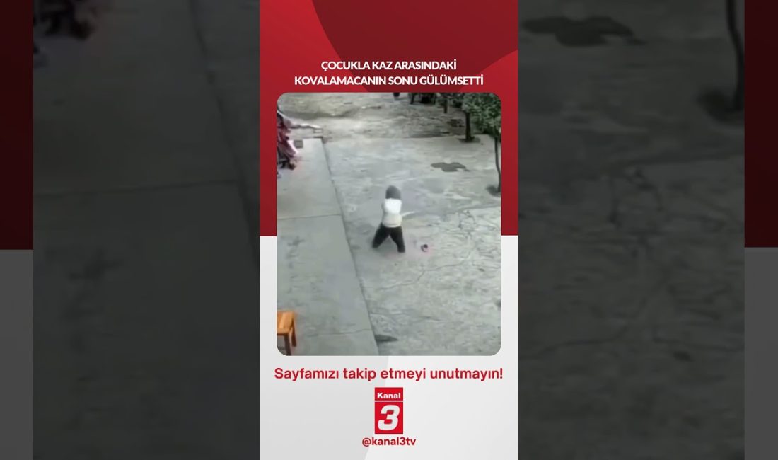 Çocukla kaz arasındaki kovalamacanın sonu gülümsetti… 📶https://kanal3.com.tr/ Sosyal Medya Hesaplarımızı
