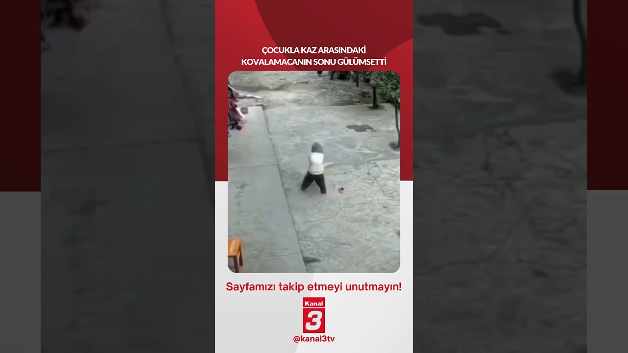 Çocukla kaz arasındaki kovalamacanın sonu gülümsetti… 📶https://kanal3.com.tr/ Sosyal Medya Hesaplarımızı