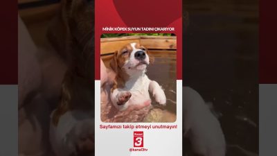 Kanal 3Per, Ağustos 13, 2026 2:00pmURL:Embed:📶https://kanal3.com.tr/ Sosyal Medya Hesaplarımızı Takip