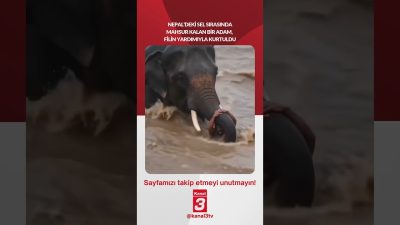 Nepal’deki sel sırasında mahsur kalan bir adam, filin yardımıyla kurtarıldı…