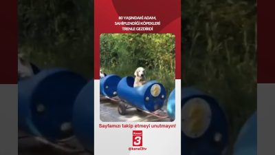 80 yaşındaki adam, sahiplendiği köpekleri trenle gezdirdi… 📶https://kanal3.com.tr/ Sosyal Medya