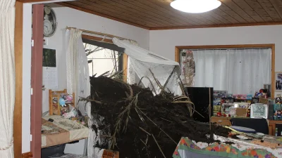 Japonya'yı etkisi altına alan şiddetli Dujuan Tayfunu, rekor düzeydeki yağışlar