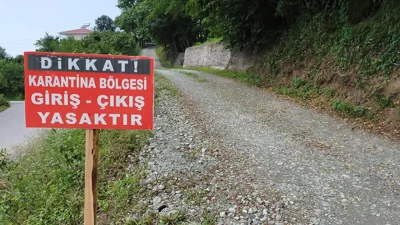 İzmir Bergama'da mavi dil hastalığı alarmı! Yenikent merkezli salgın nedeniyle