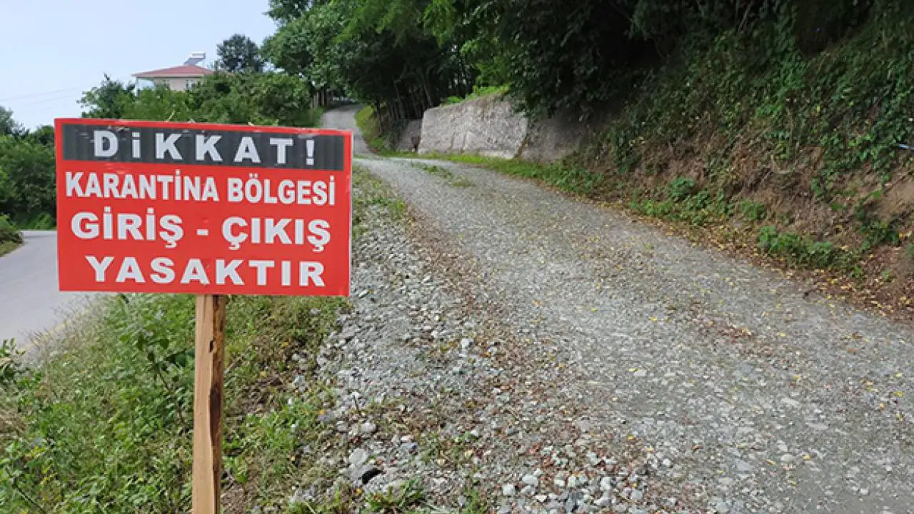 İzmir Bergama'da mavi dil hastalığı alarmı! Yenikent merkezli salgın nedeniyle