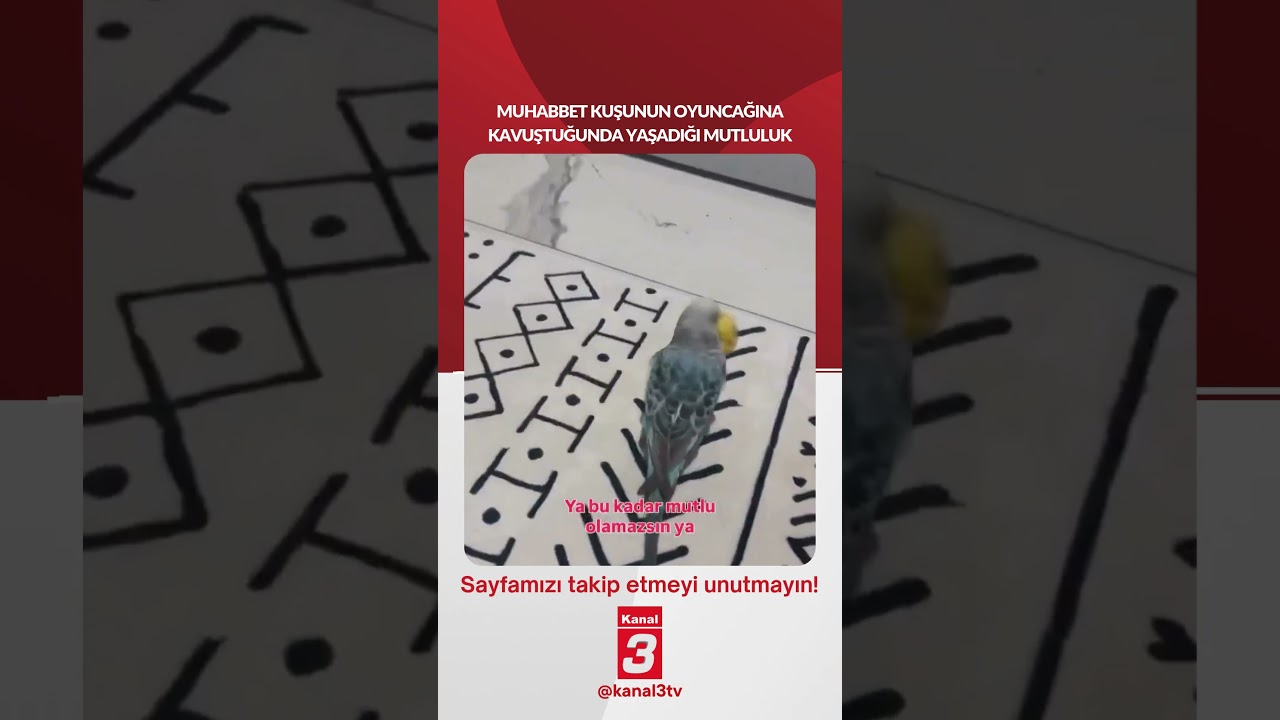📶https://kanal3.com.tr/ Sosyal Medya Hesaplarımızı Takip Ederek Son Dakika Haberleri Alabilirsiniz;
