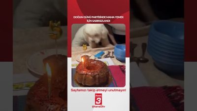 Kanal 3Cum, Eylül 25, 2026 4:00pmURL:Embed:Doğum günü partisinde mama yemek