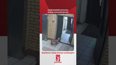 Kanal 3Cts, Eylül 26, 2026 10:00amURL:Embed:Sahibi kendisini unutunca kapının açılmasını