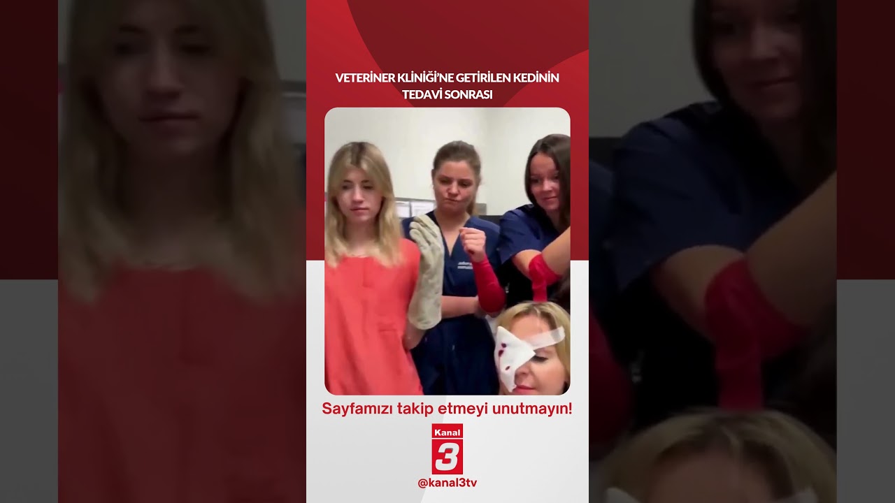 Veteriner Kliniği’ne getirilen kedinin tedavi sonrası… 📶https://kanal3.com.tr/ Sosyal Medya Hesaplarımızı