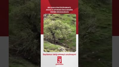 Bir adam atını özgür bıraktı, ancak at gitmeden önce kendine