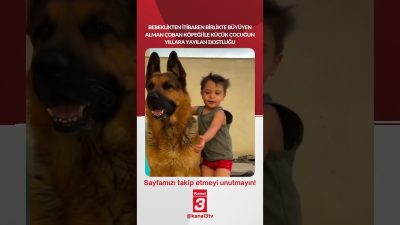 Kanal 3Pts, Eylül 21, 2026 2:00pmURL:Embed:Bebeklikten itibaren birlikte büyüyen Alman