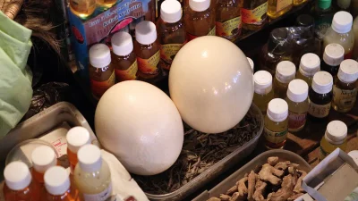 Tavuk yumurtasına alternatif olarak merak edilen devekuşu yumurtası; yaklaşık 2