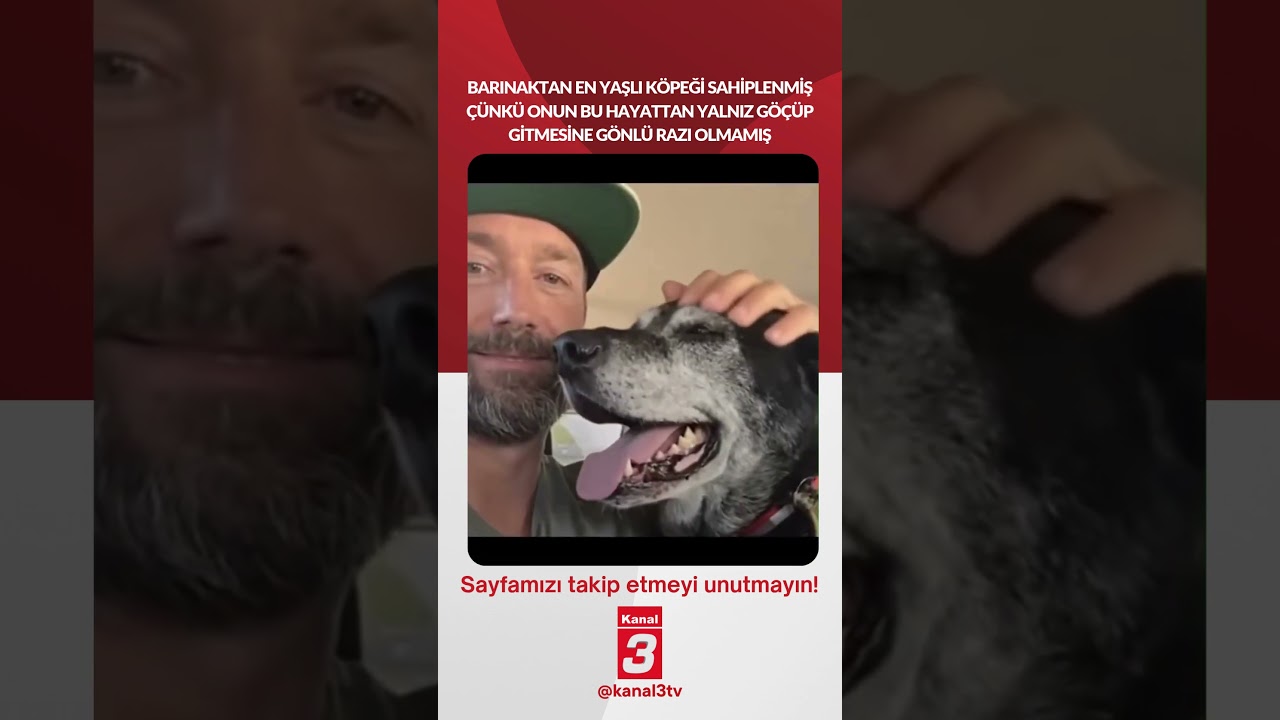 En yaşlı köpeği sahiplenmiş çünkü onun bu hayattan yalnız göçüp