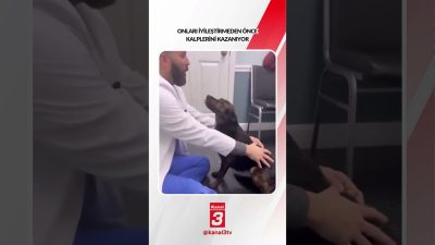 Kanal 3Cum, Ekim 30, 2026 8:00amURL:Embed:Onları iyileştirmeden önce kalplerini kazanıyor…