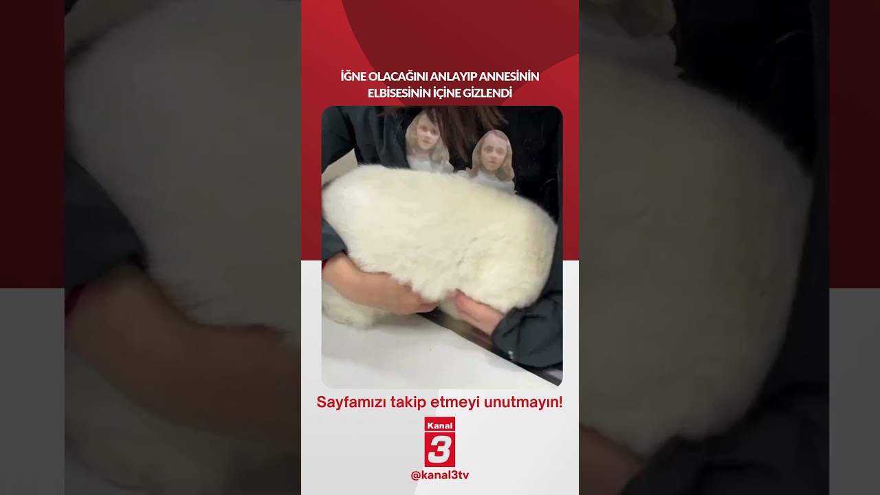 İğne olacağını anlayıp annesinin elbisesinin içine gizlendi… 📶https://kanal3.com.tr/ Sosyal Medya