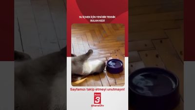 Kanal 3Paz, Ekim 4, 2026 2:00pmURL:Embed:Su içmek için yeni bir