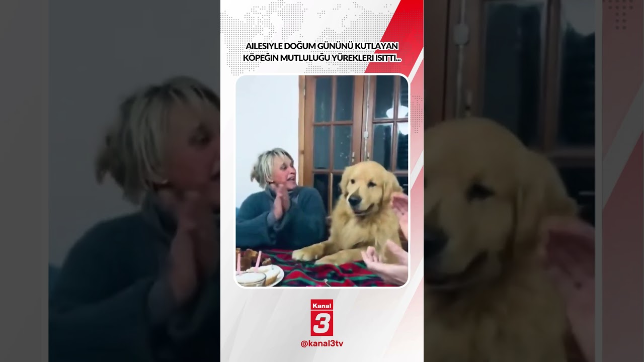 Ailesiyle doğum gününü kutlayan köpeğin mutluluğu yürekleri ısıttı… 📶https://kanal3.com.tr/ Sosyal