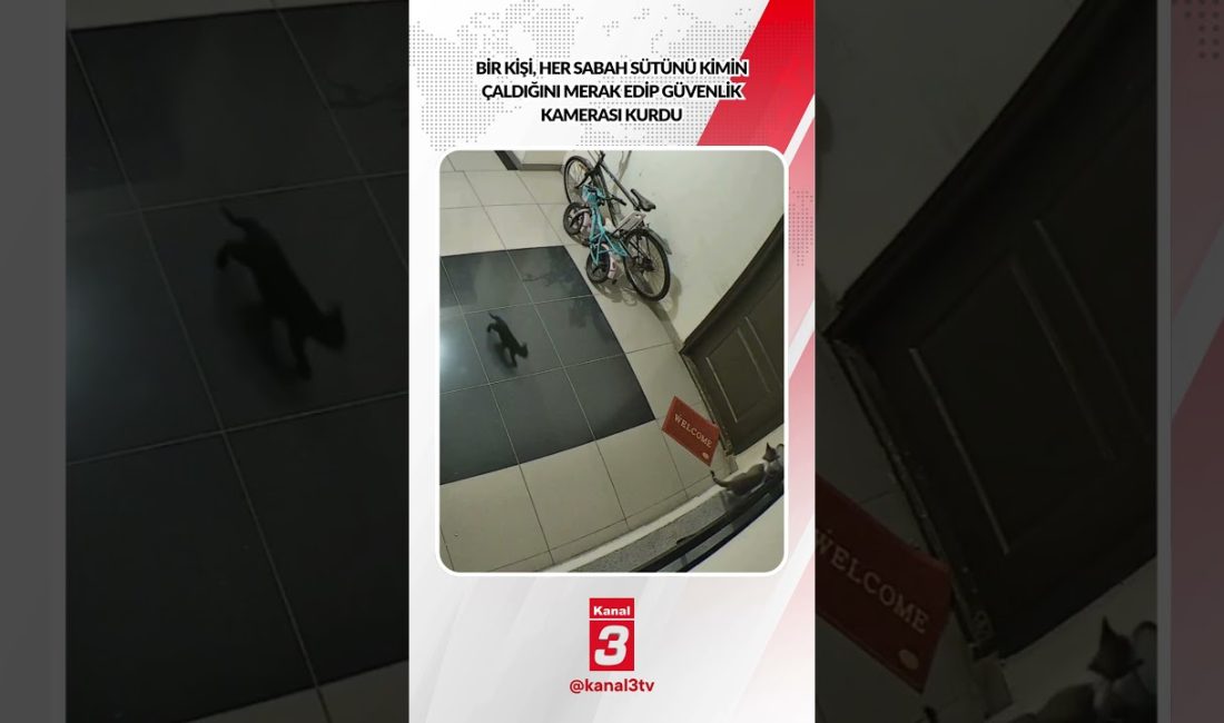 Bir kişi, her sabah sütünü kimin çaldığını merak edip güvenlik