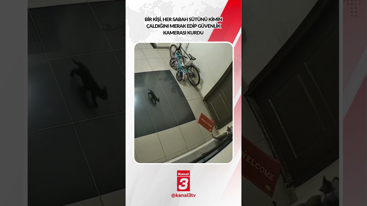 Bir kişi, her sabah sütünü kimin çaldığını merak edip güvenlik