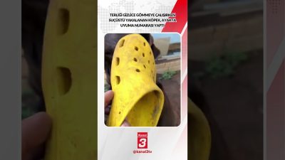 Kanal 3Pts, Ekim 12, 2026 12:00pmURL:Embed:Terliği gizlice gömmeye çalışırken suçüstü
