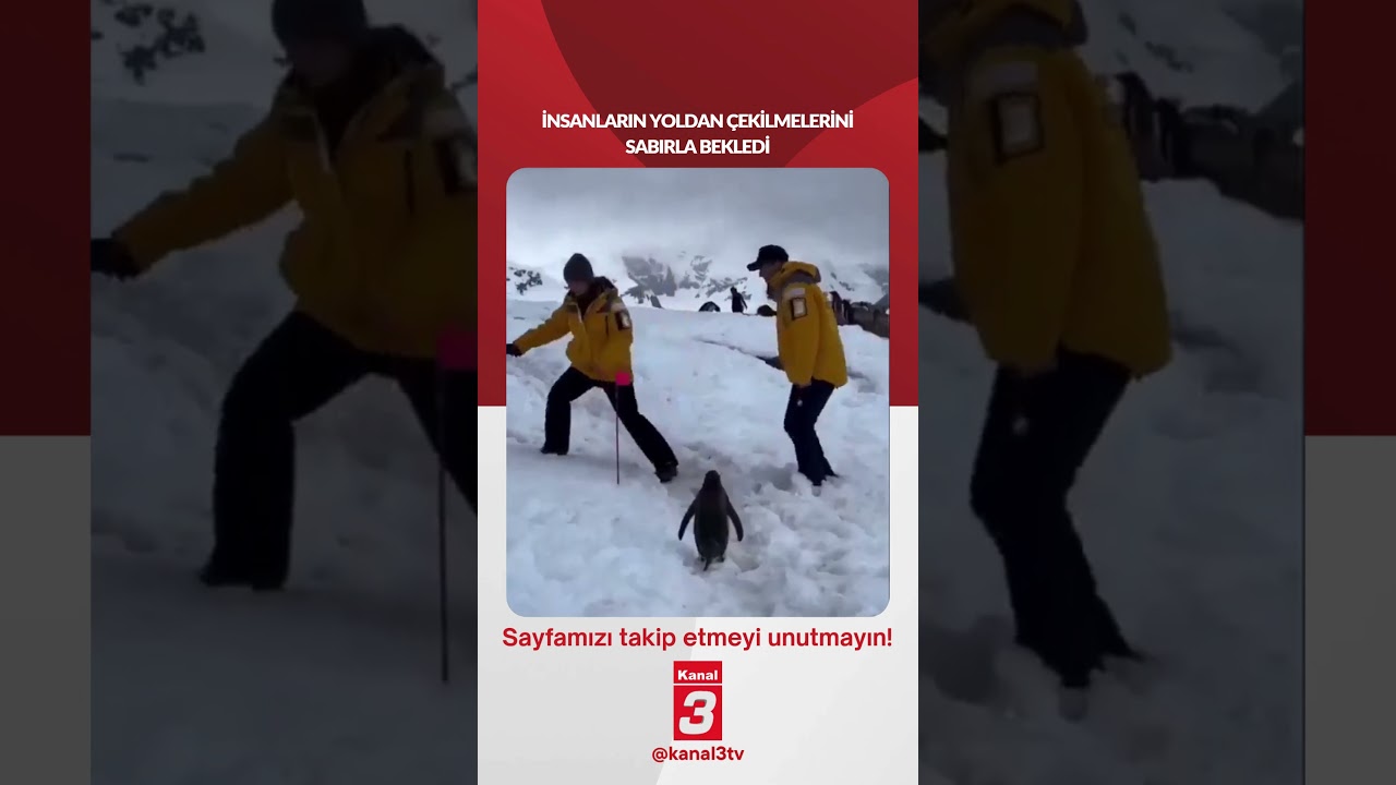 İnsanların yoldan çekilmelerini sabırla bekledi… 📶https://kanal3.com.tr/ Sosyal Medya Hesaplarımızı Takip