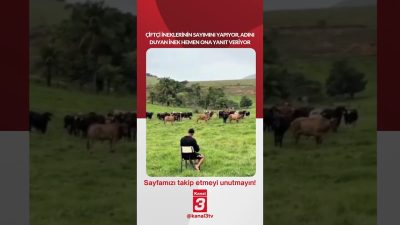 Kanal 3Çar, Ekim 7, 2026 10:00amURL:Embed:Çiftçi ineklerinin sayımını yapıyor, Adını
