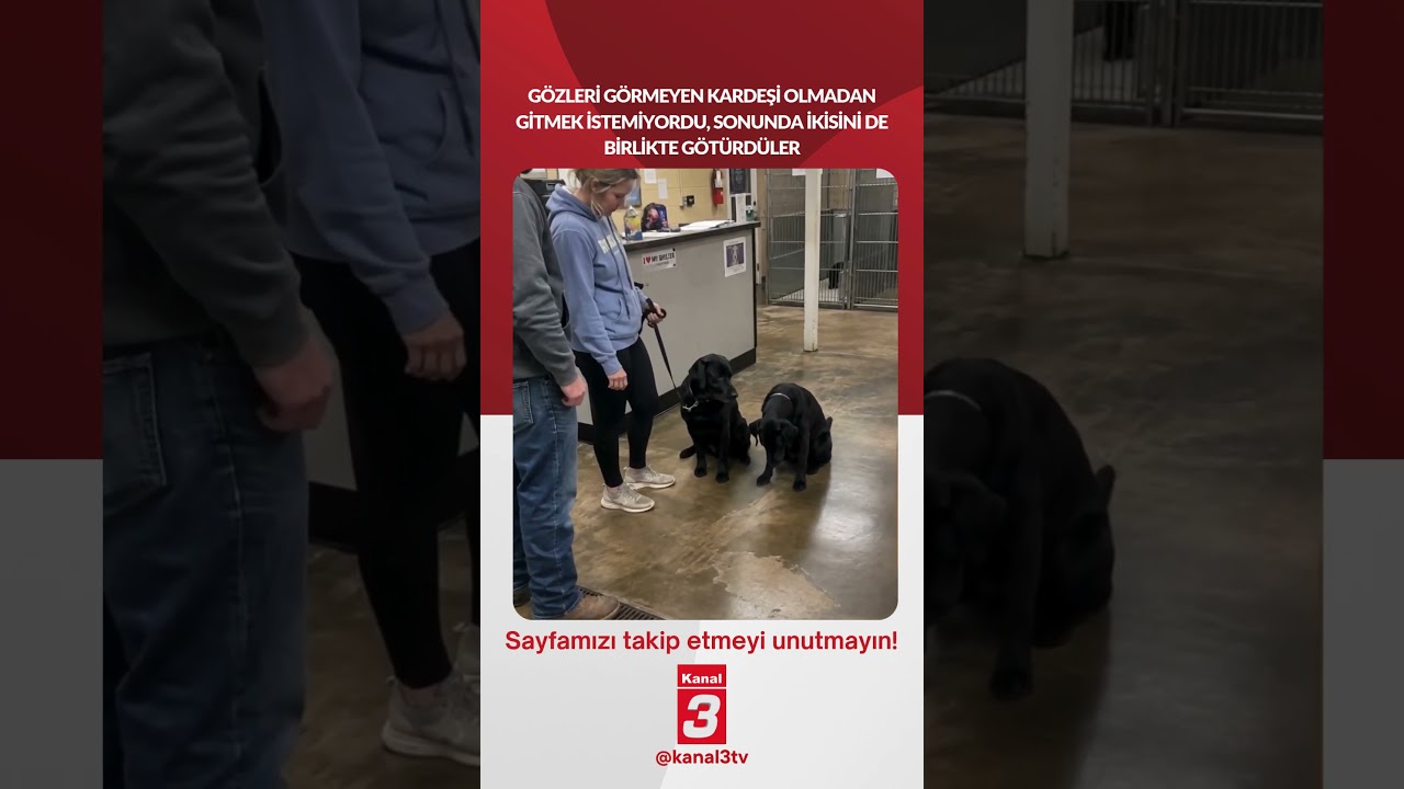 Gözleri görmeyen kardeşi olmadan gitmek istemiyordu, sonunda ikisini de birlikte