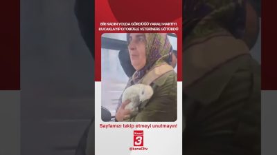 Kanal 3Çar, Ekim 7, 2026 2:00pmURL:Embed:Bir kadın yolda gördüğü yaralı