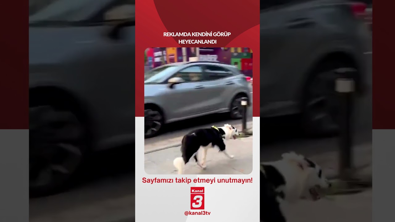 Reklamda kendini görüp heyecanlandı… 📶https://kanal3.com.tr/ Sosyal Medya Hesaplarımızı Takip Ederek
