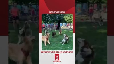 Kanal 3Paz, Ekim 4, 2026 10:00amURL:Embed:Bütün oyunu bozdu! 📶https://kanal3.com.tr/ Sosyal