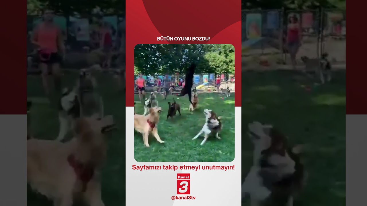 Bütün oyunu bozdu! 📶https://kanal3.com.tr/ Sosyal Medya Hesaplarımızı Takip Ederek Son