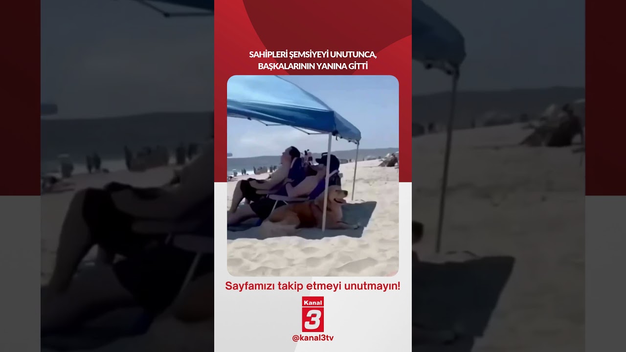 Sahipleri şemsiyeyi unutunca, başkalarının yanına gitti… 📶https://kanal3.com.tr/ Sosyal Medya Hesaplarımızı